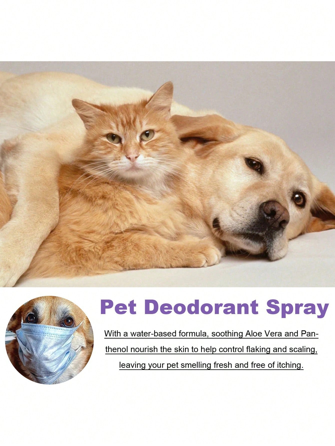 1pc Slogan Graphic Pet Deodorant For Cat Dog For Cleaning