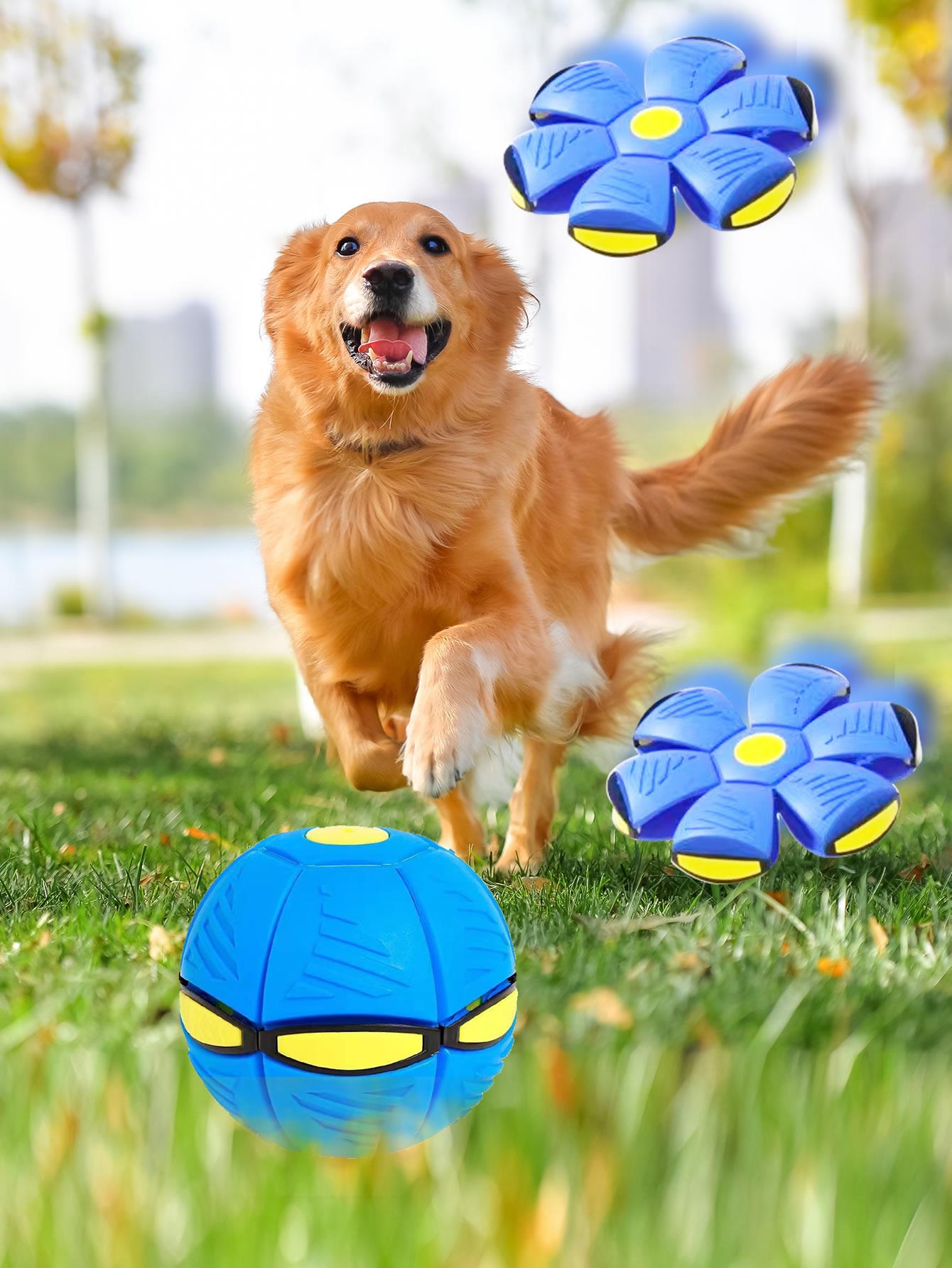 1pc Ball Design Pet Chasing Toy