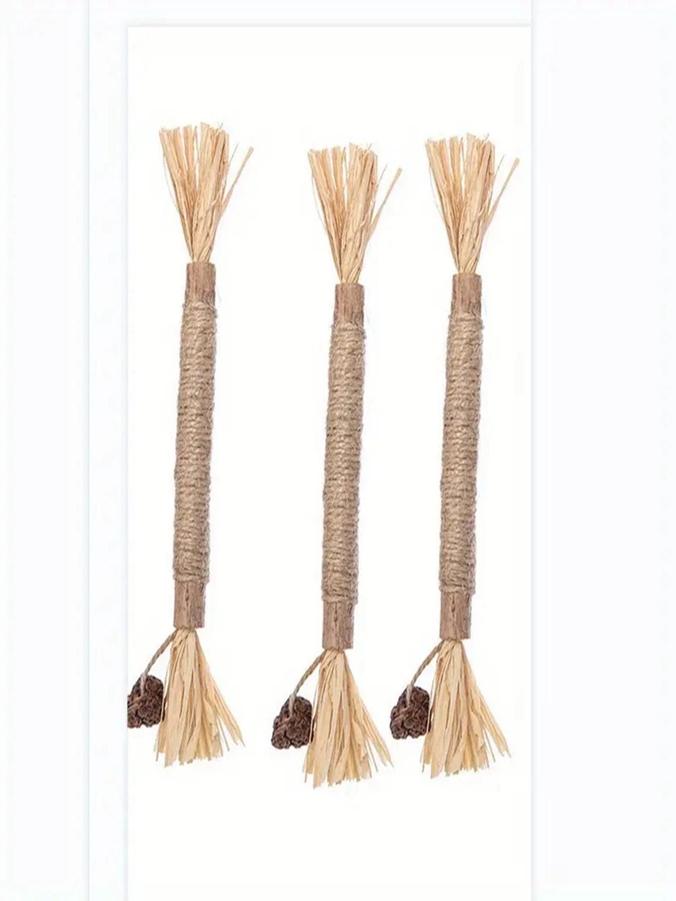 3 Pack Catnip Chew Sticks A Fun Healthy Teething Toy for Cats Kittens
