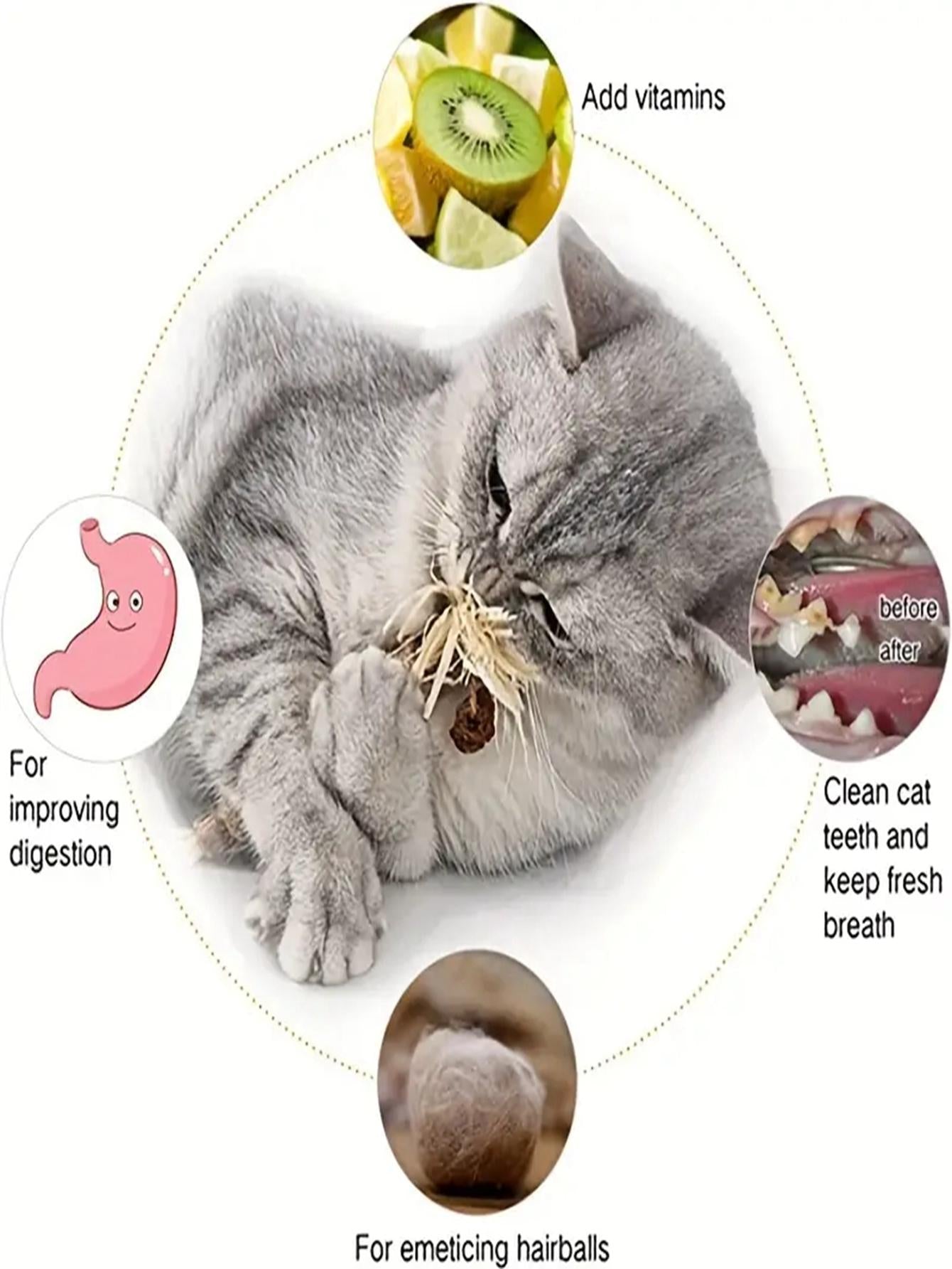 3 Pack Catnip Chew Sticks A Fun Healthy Teething Toy for Cats Kittens