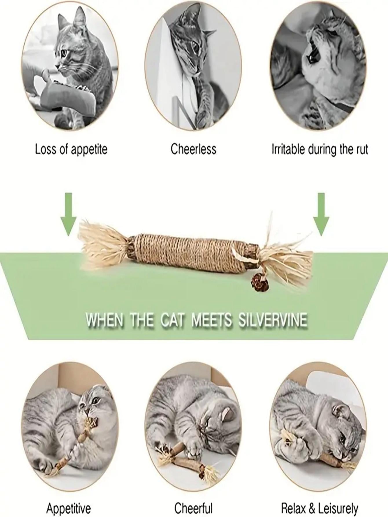 3 Pack Catnip Chew Sticks A Fun Healthy Teething Toy for Cats Kittens