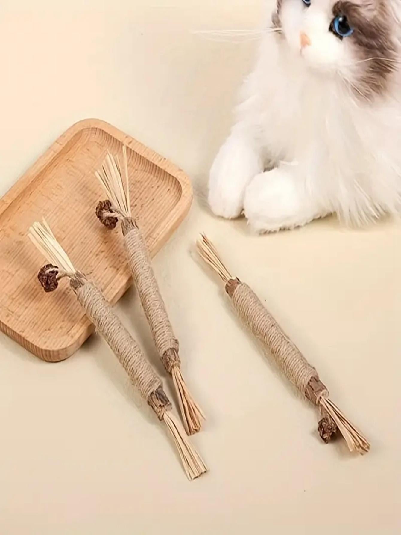 3 Pack Catnip Chew Sticks A Fun Healthy Teething Toy for Cats Kittens
