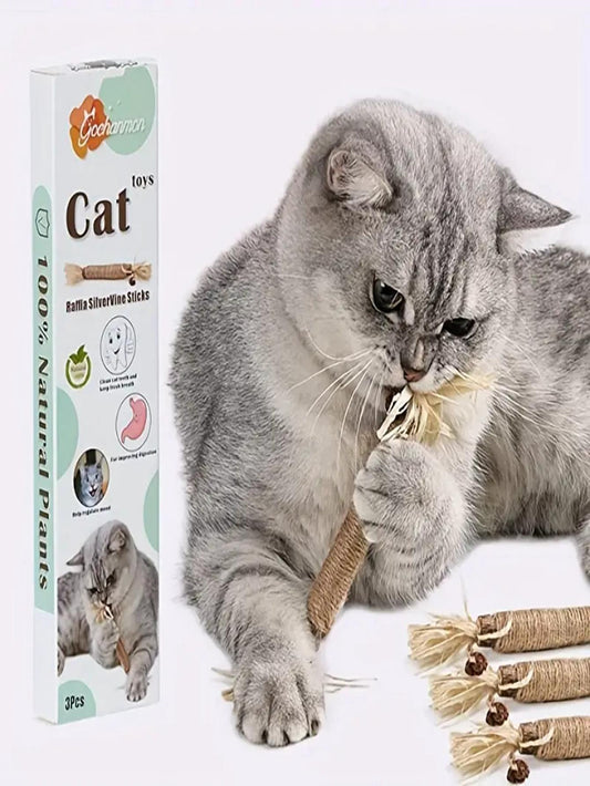 3 Pack Catnip Chew Sticks A Fun Healthy Teething Toy for Cats Kittens
