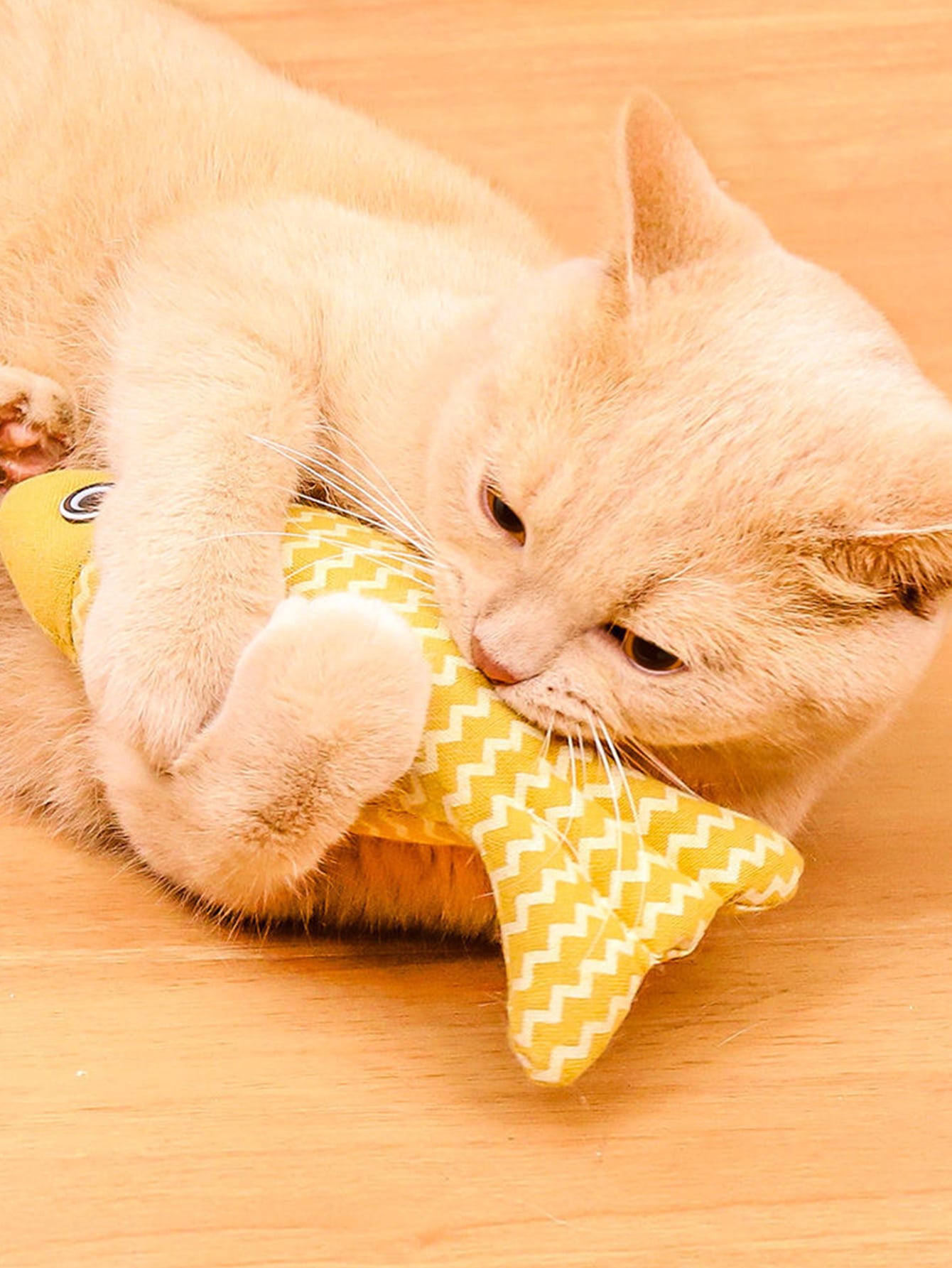 Includes Catnip Simulated Cloth Fish Interactive Cat Toy