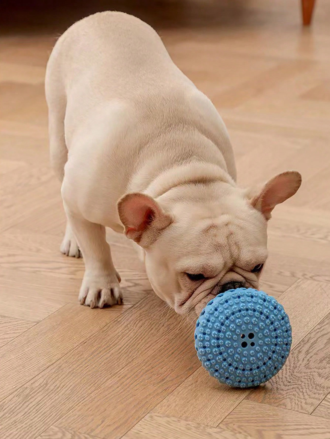 1pc Pet Treat Dispensing Ball Toy, Elastic Rubber, Dog Teeth Cleaning Chew Interactive Toy