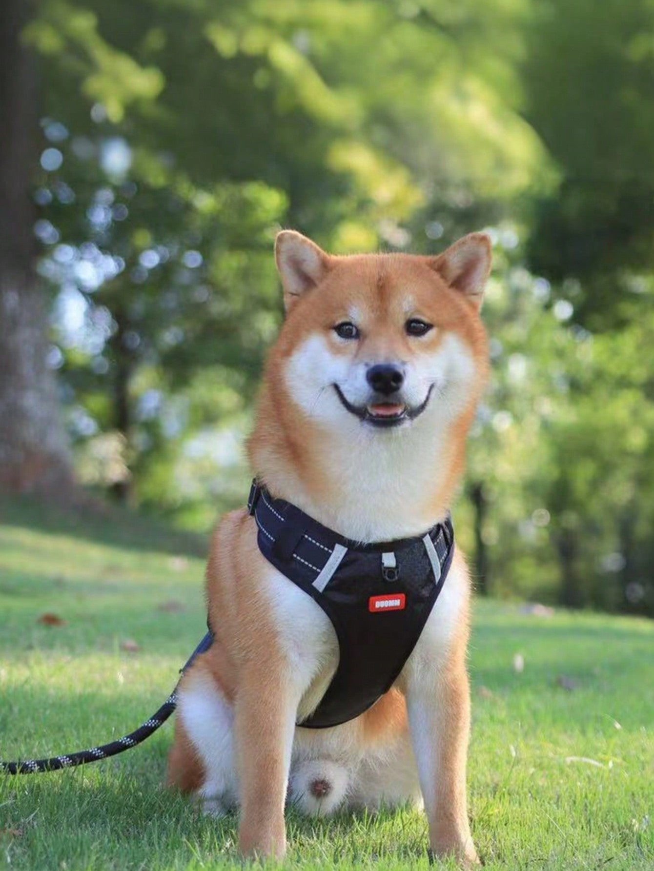 1pc Black Reflective Large Size Pet Harness Vest With Chest & Back Strap For Dogs/cats, Including Leash For Walking Training