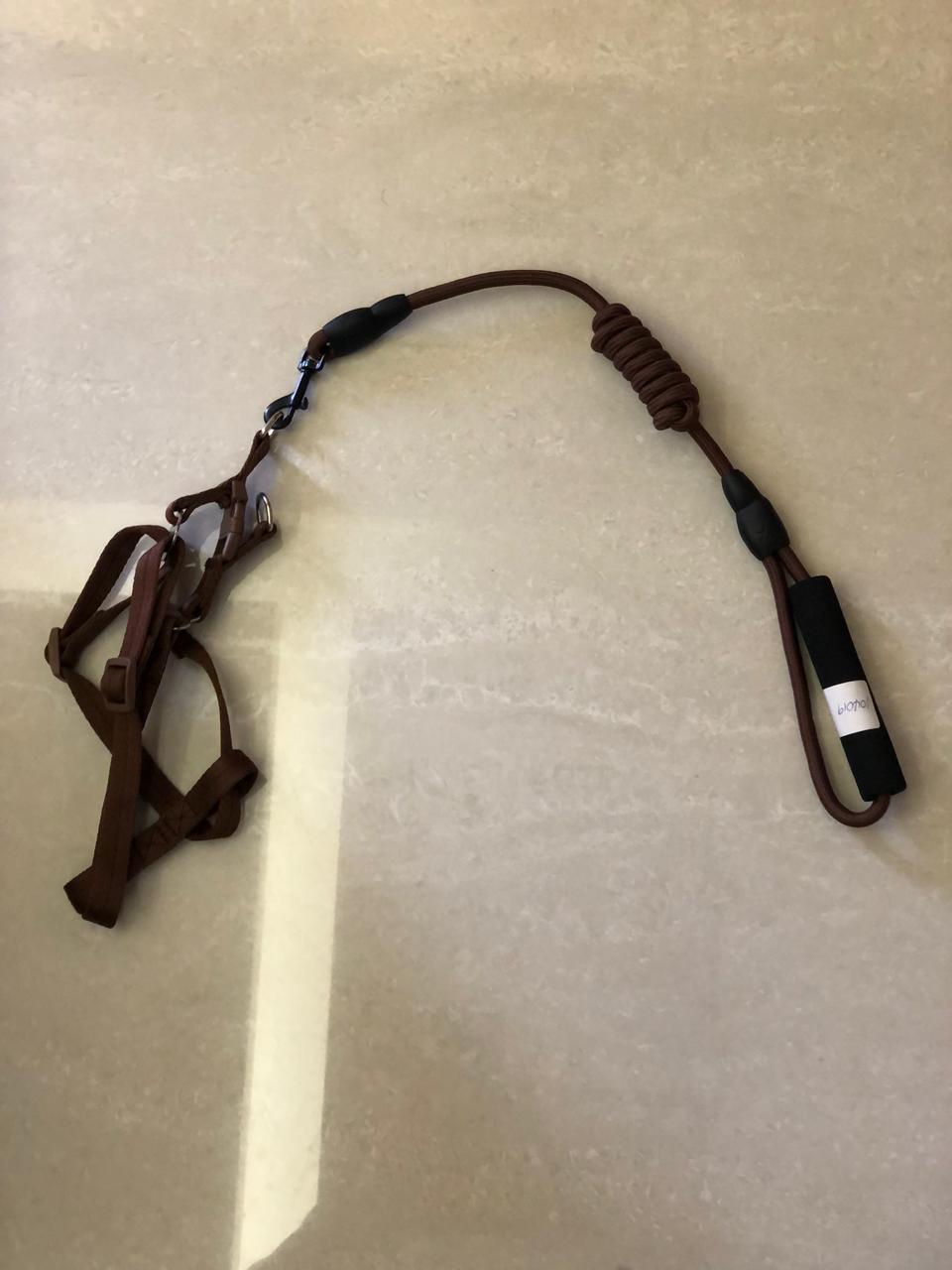 Adjustable Pet Leash