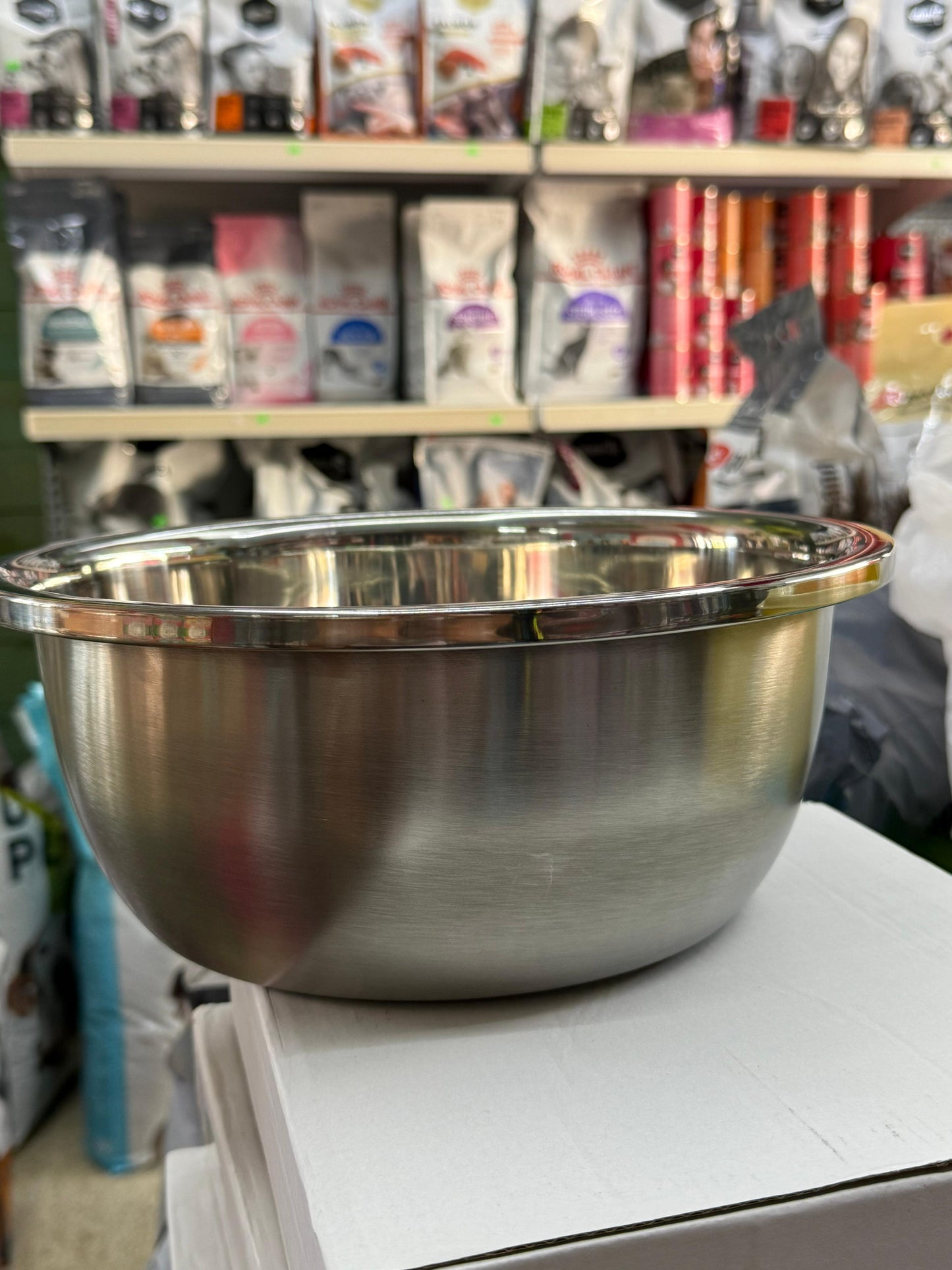 Plates dog stainless