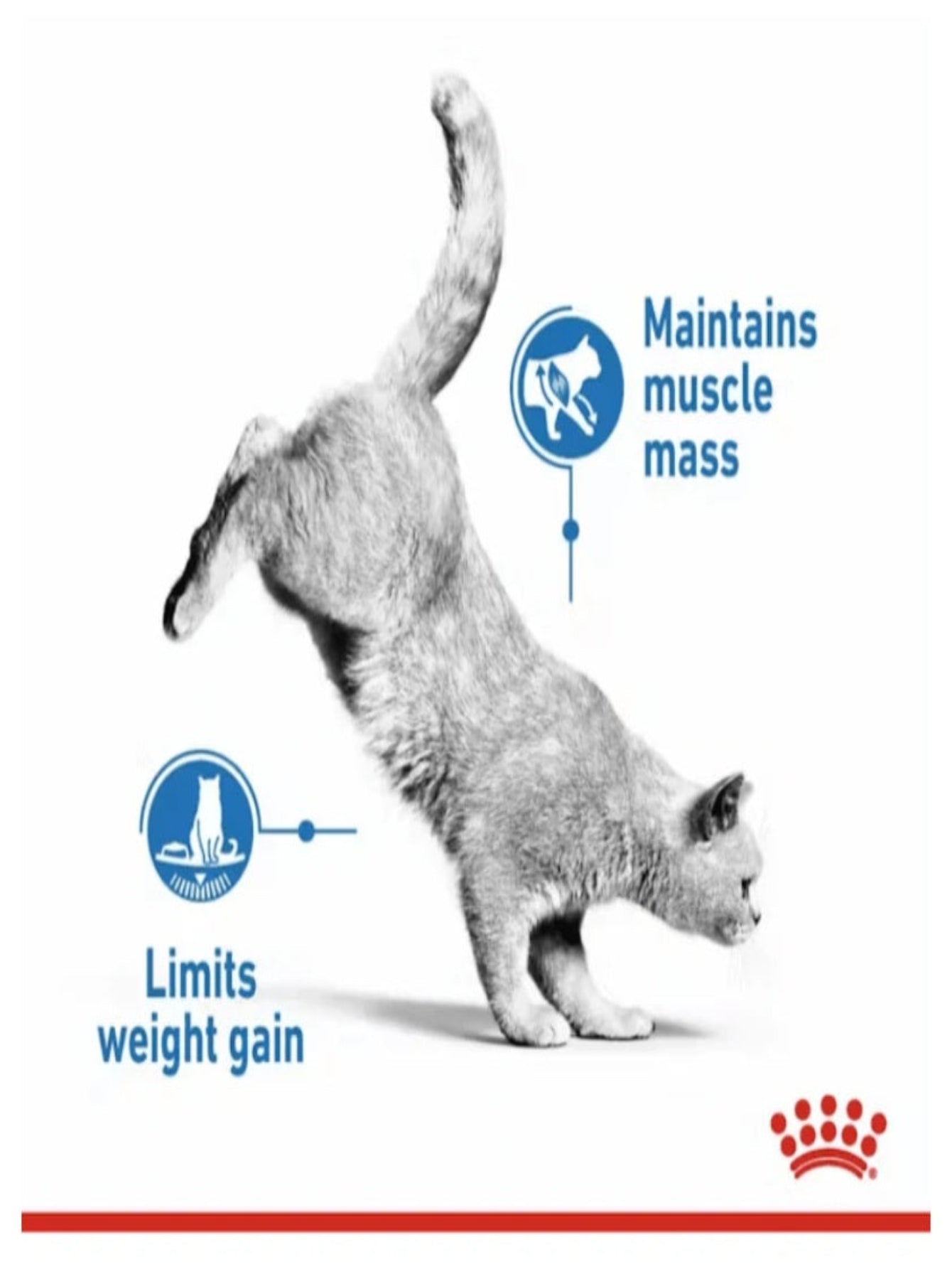Royal Canin - Light Weight Care Adult Cat Food 1.5kg–3kg