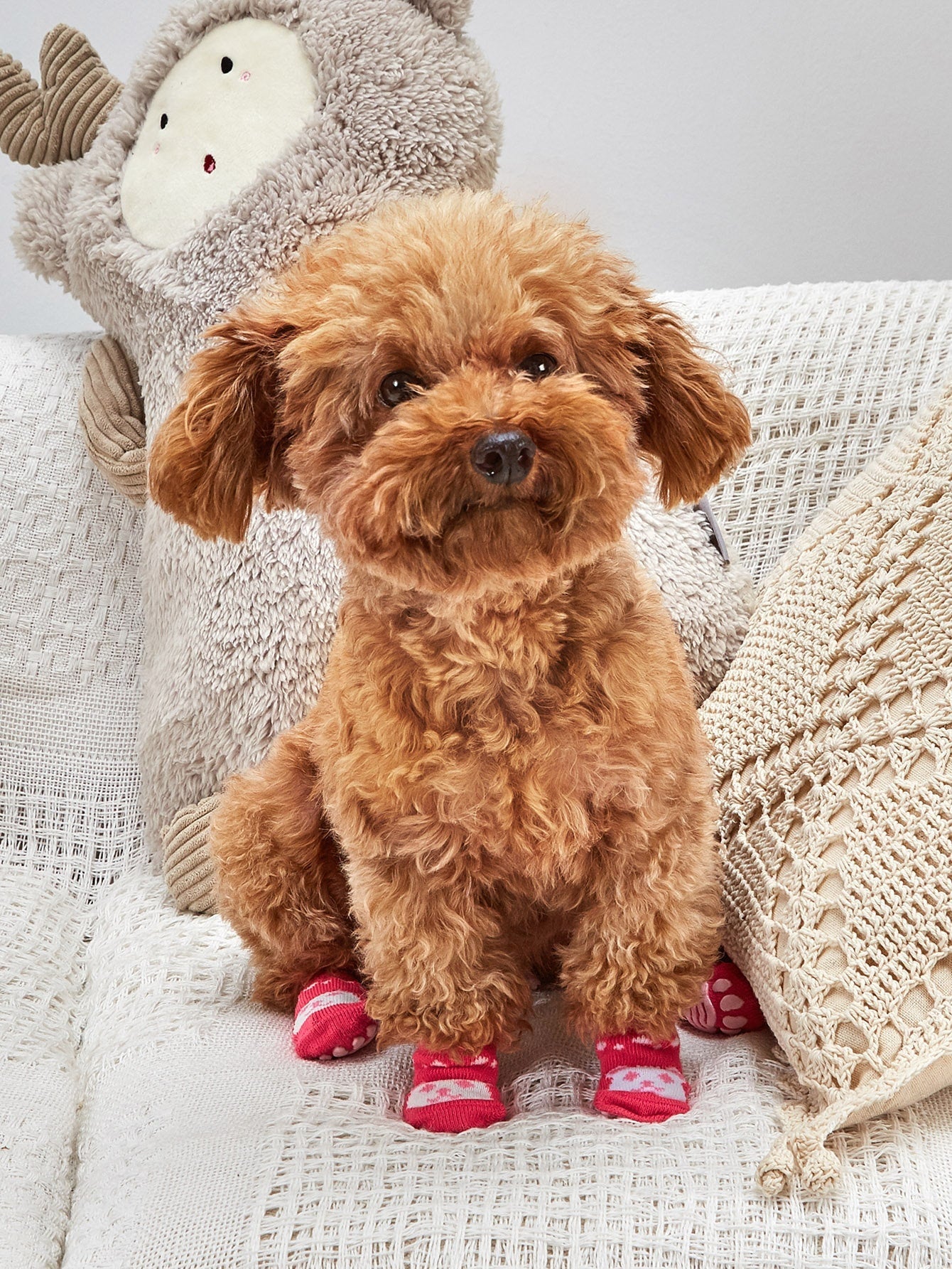 4pcs Non slip Cartoon Graphic Dog Socks