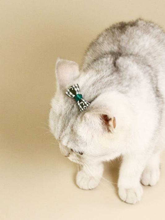 Random Color Bow Decor Dog Hair Clip