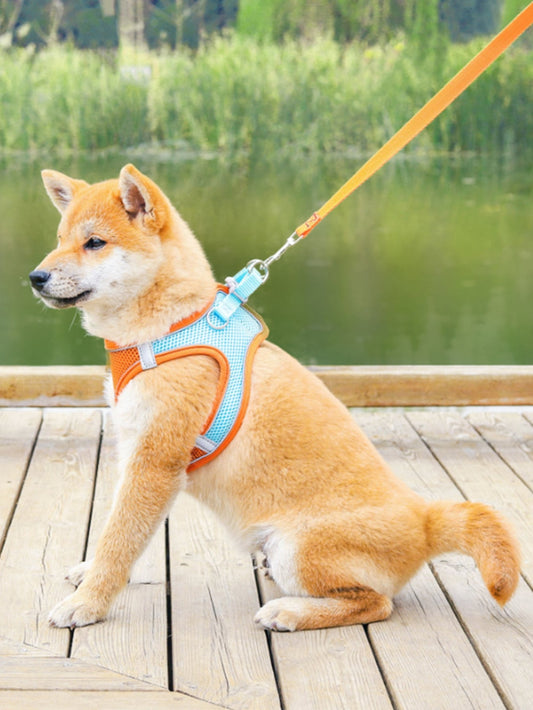 Colorblock Pet Harness 1pc Leash