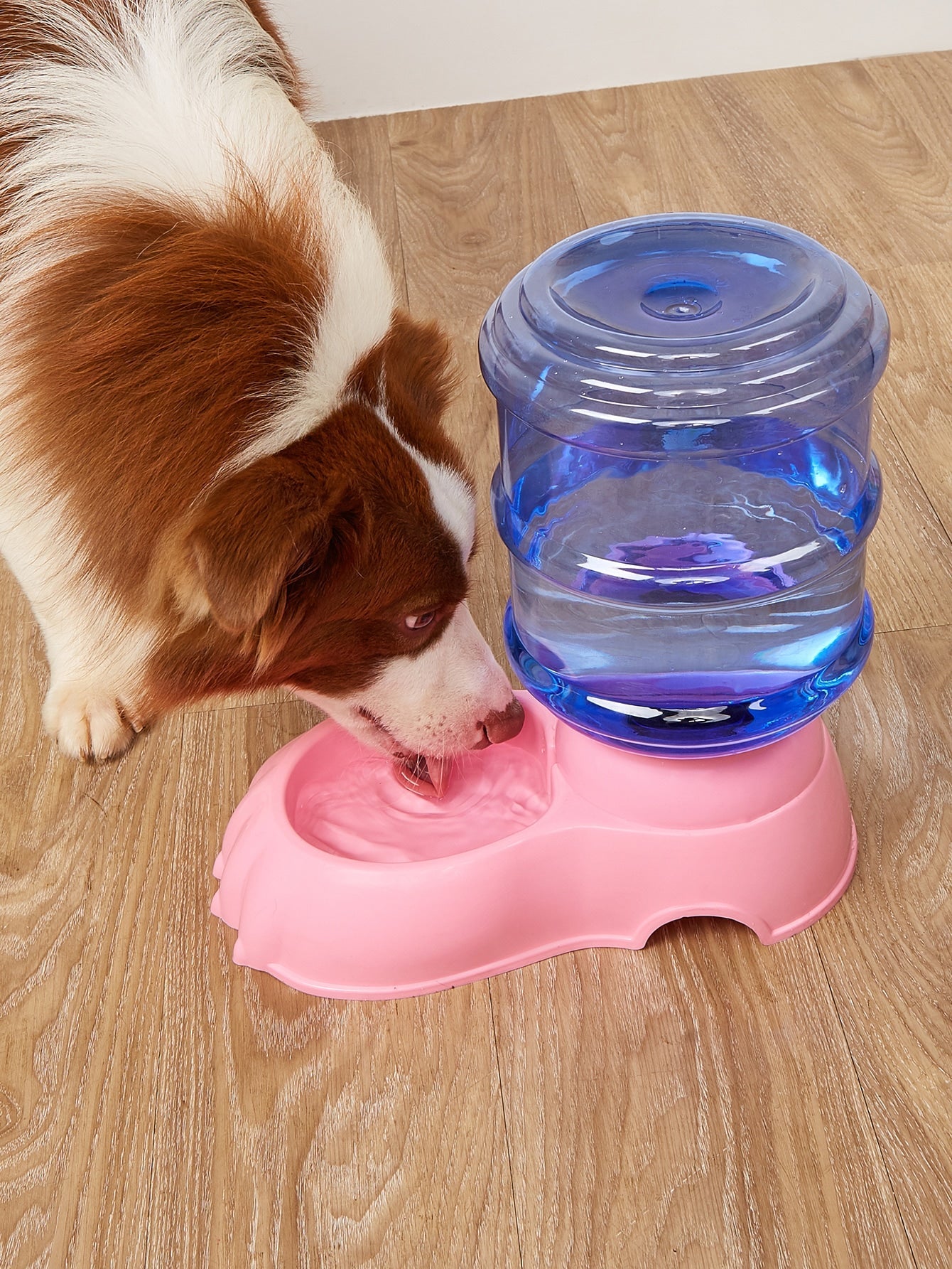 1pc Pet Water Feeder