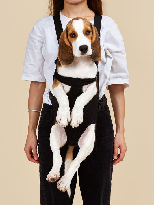 1pc Plain Pet Carrier