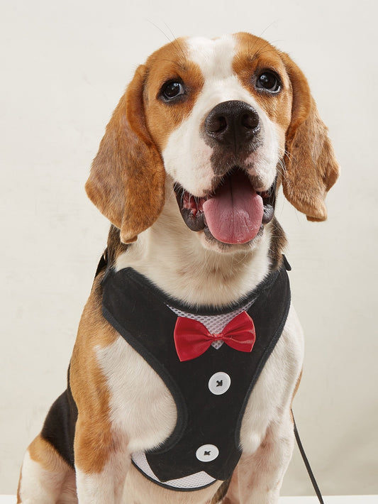 1pc Bow Decor Pet Harness 1pc Leash