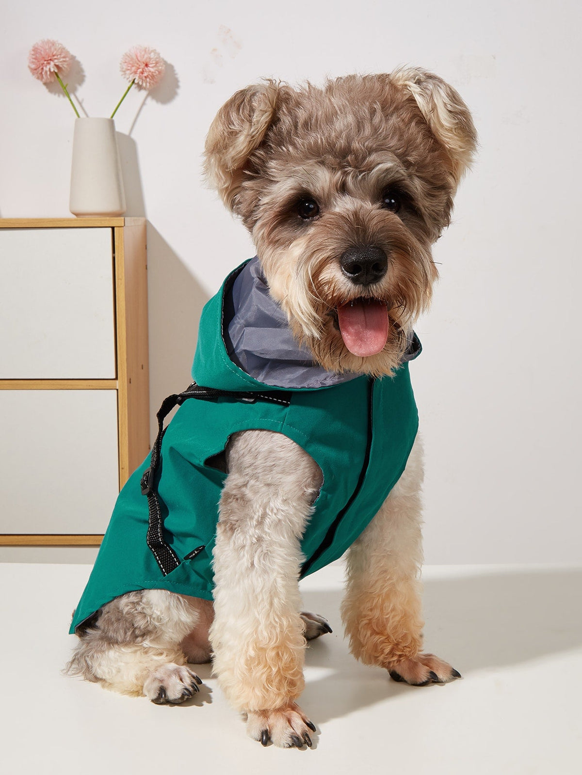 1pc Hooded Pet Jacket