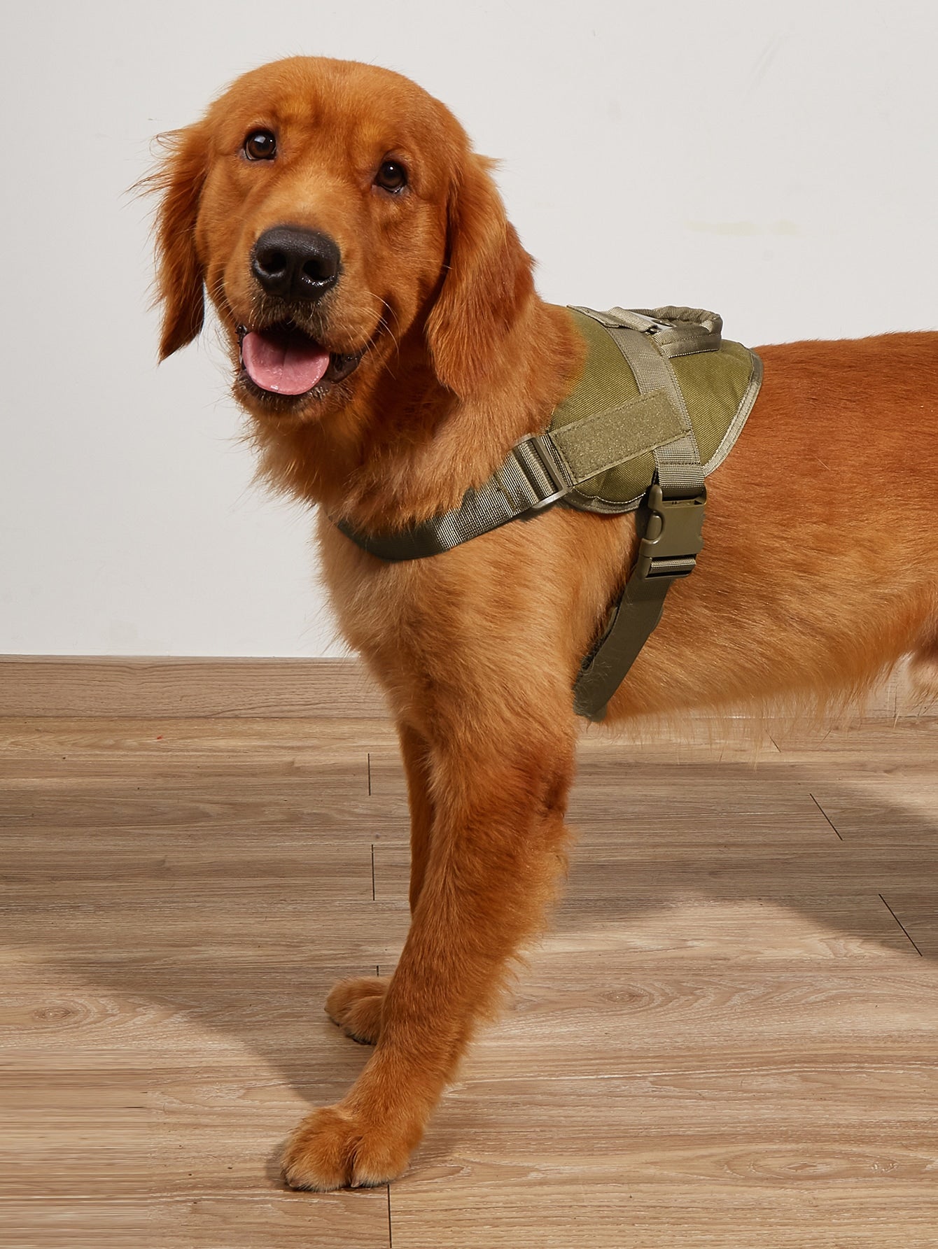 1pc Nylon Pet Harness