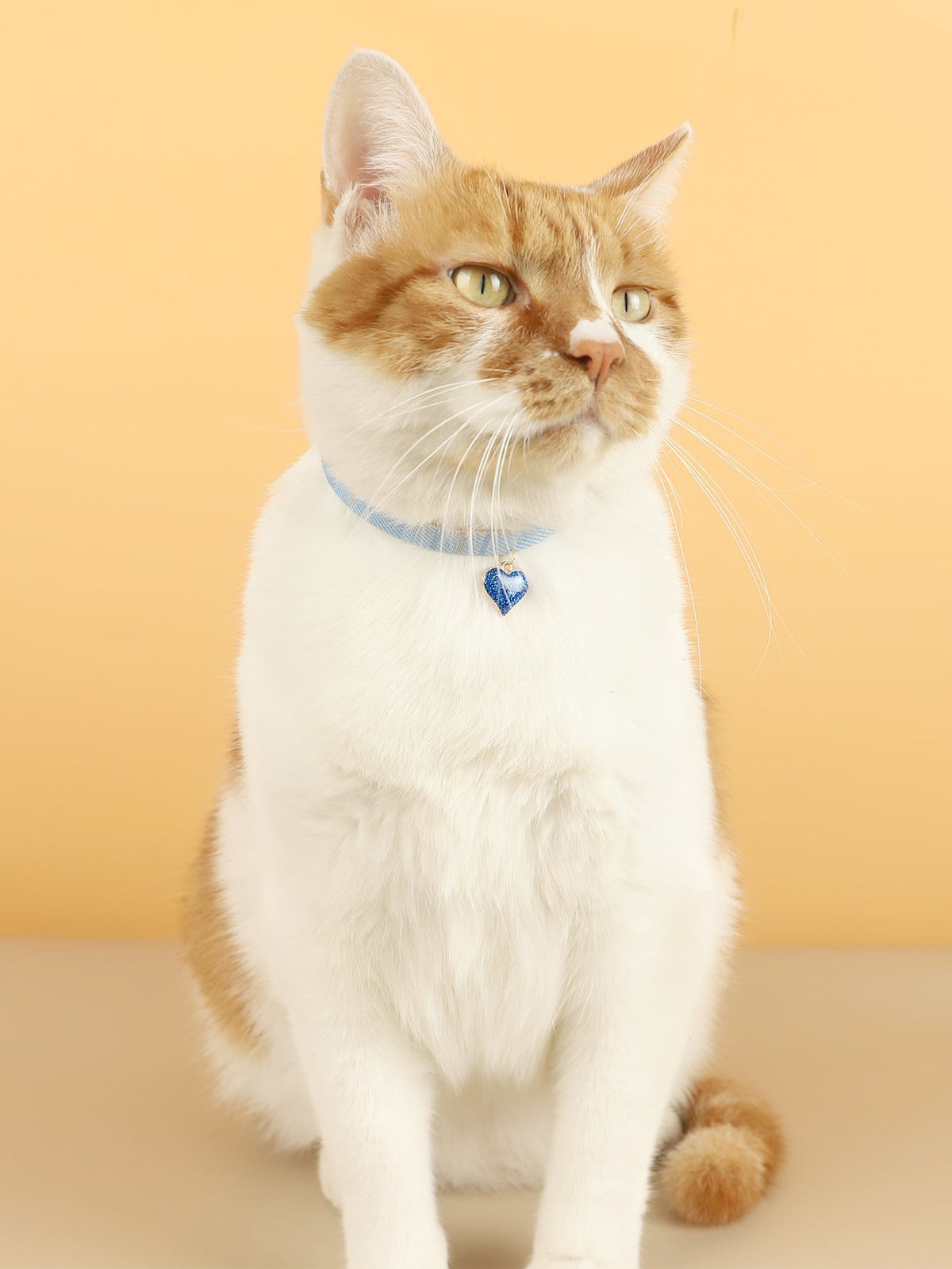 Heart Pendant Pet Necklace