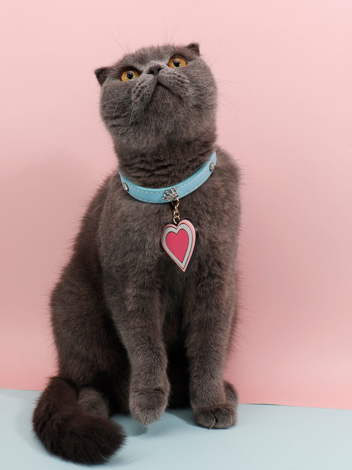 Heart Pendant Pet Collar