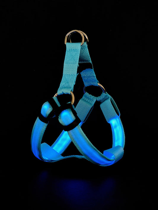 1pc Glowing Pet Harness