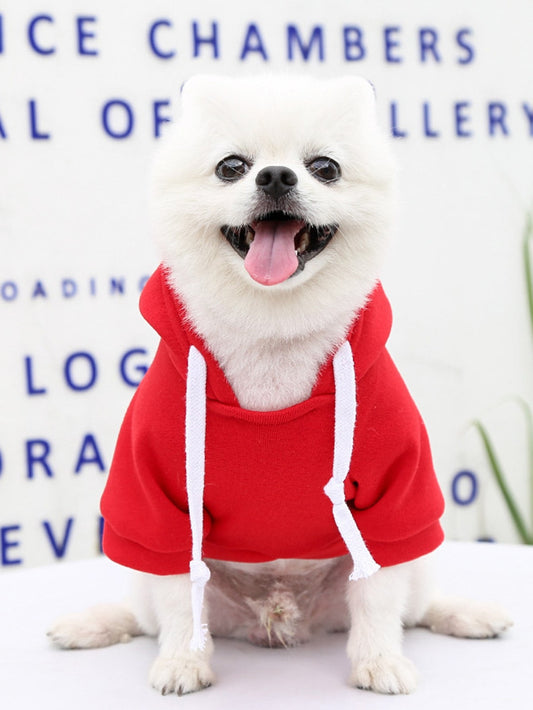 Plain Pet Hoodie