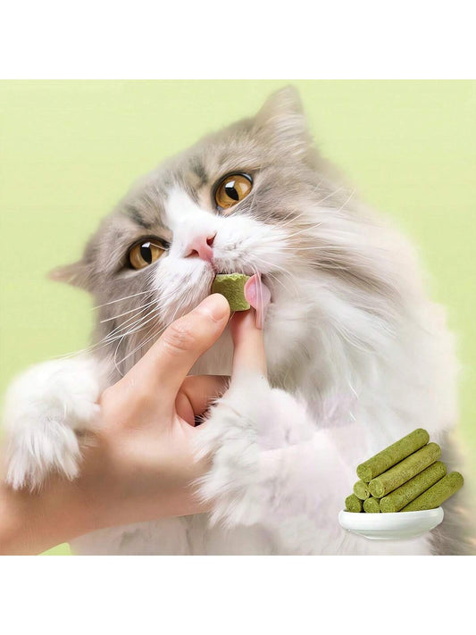 5pcs Catnip Stick & Mint Stick Chewing & Grinding Toys For Cats