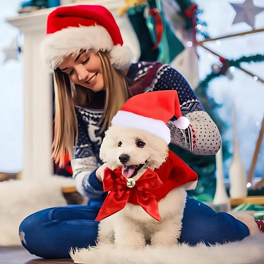 2 Pet Santa Hat And Bow Tie, Dog And Cat Costume Accessory Set, Hat Tie And Bell, Christmas Costume Gift For Puppy, Kitten, Pet Christmas Costume Gift