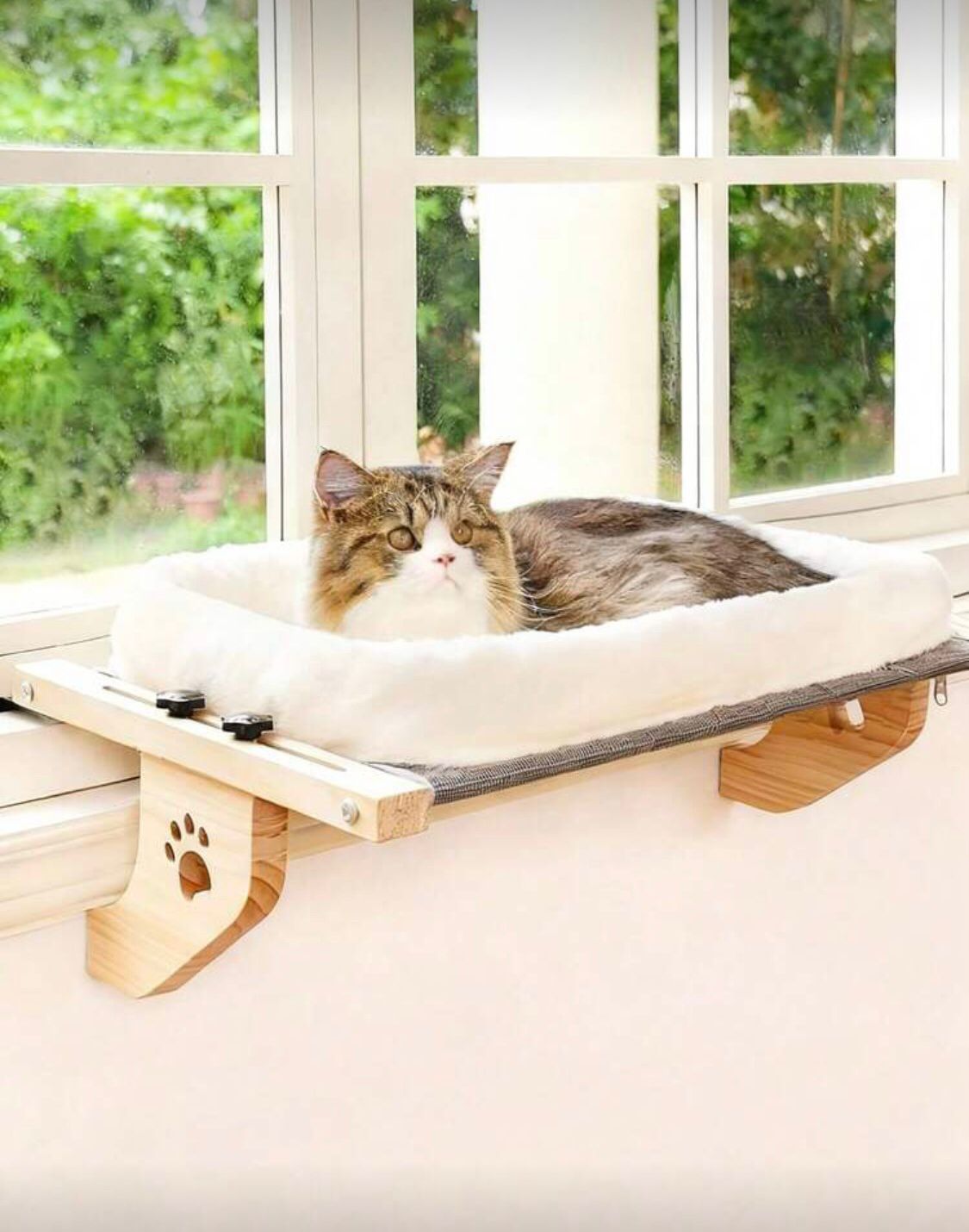 Cat Window Bed - SAFICCO