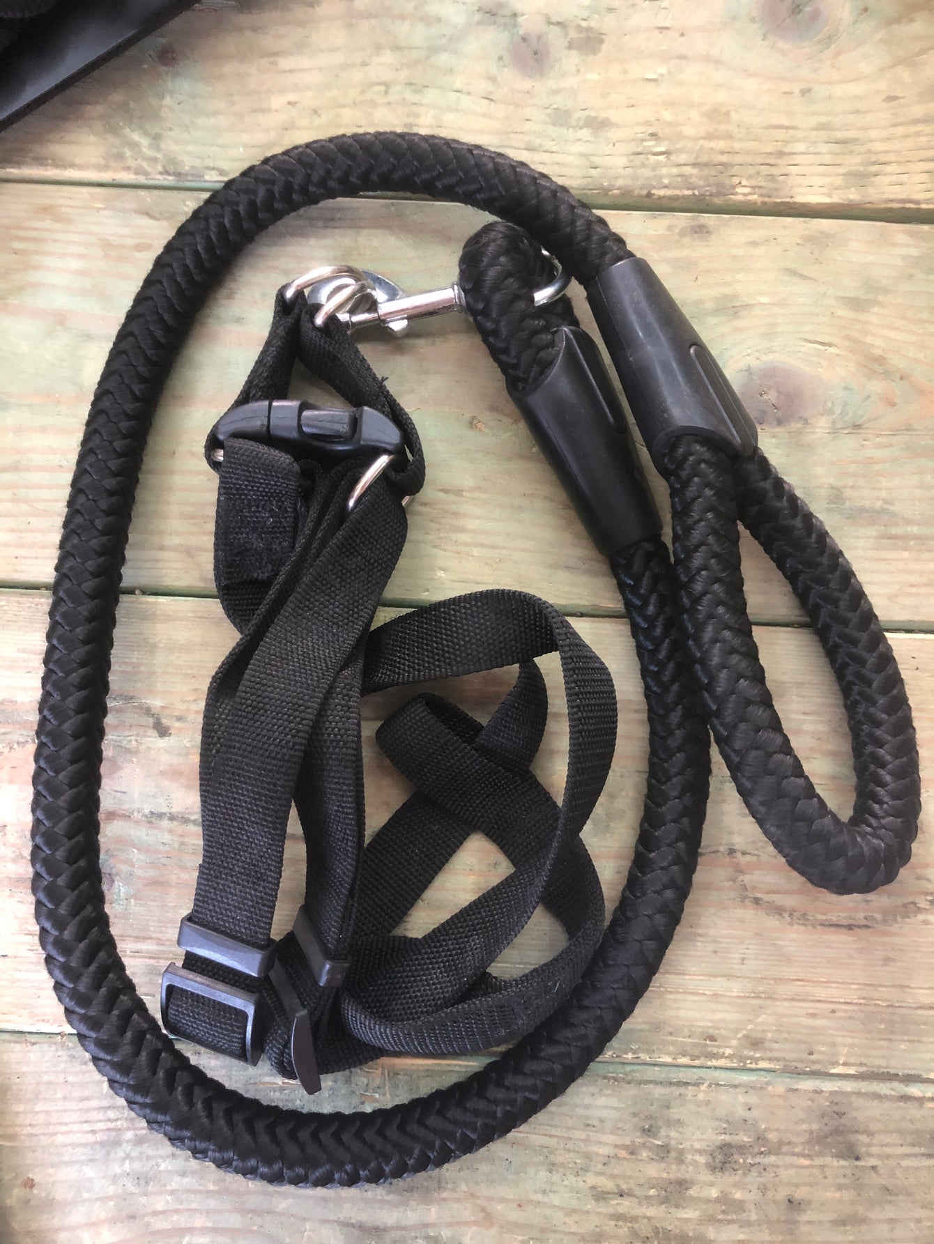 Dog harness