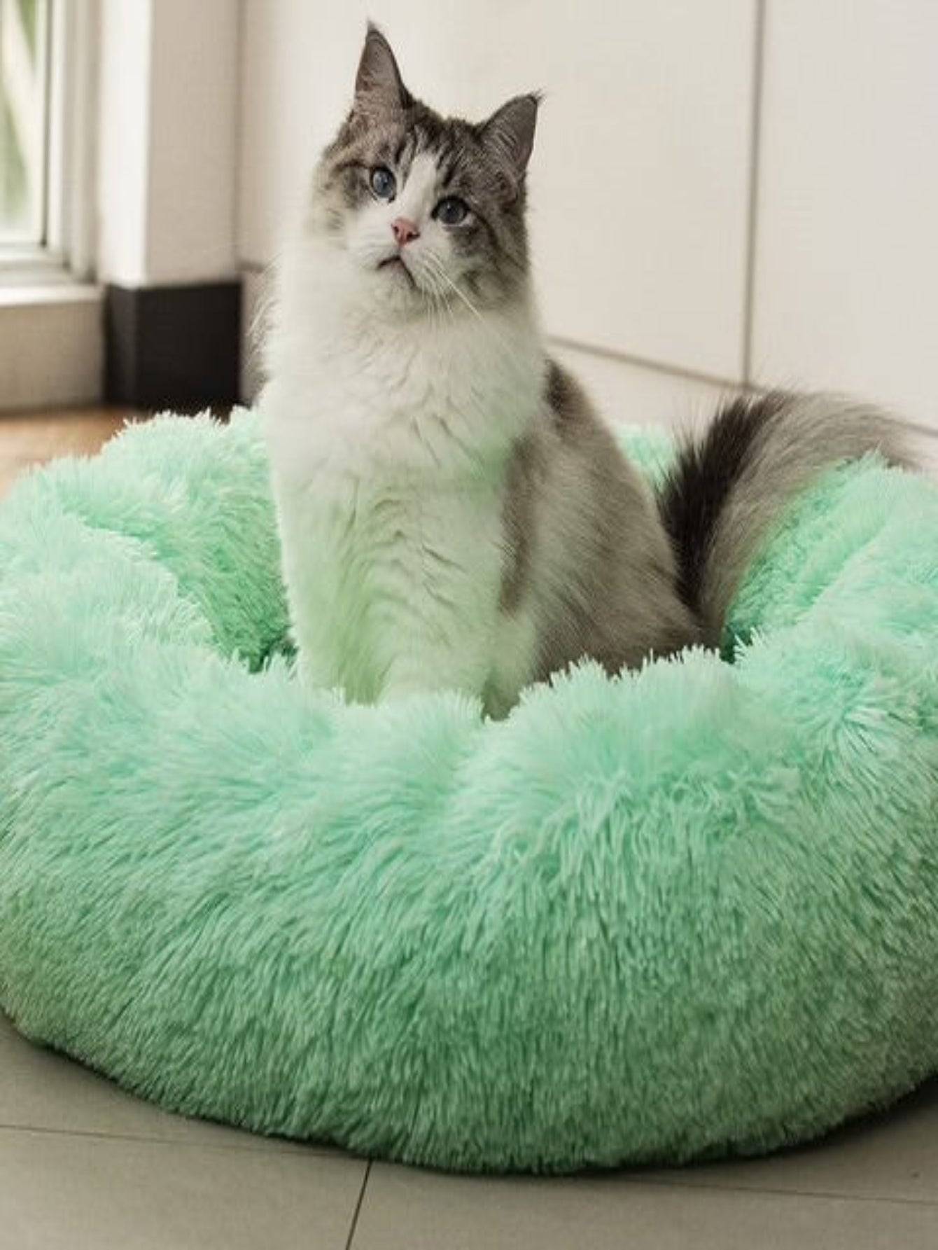 Cat bed - SAFICCO