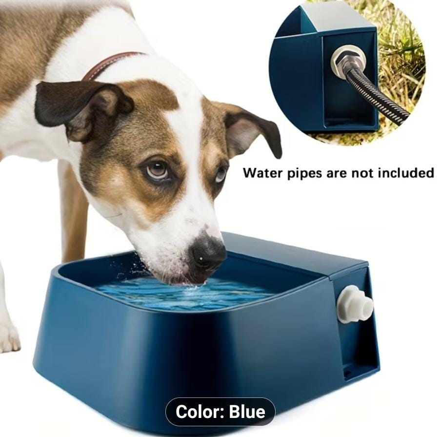 Automatic Water Bowl  For Cats Dogs Birds Goats Chicken - SAFICCO