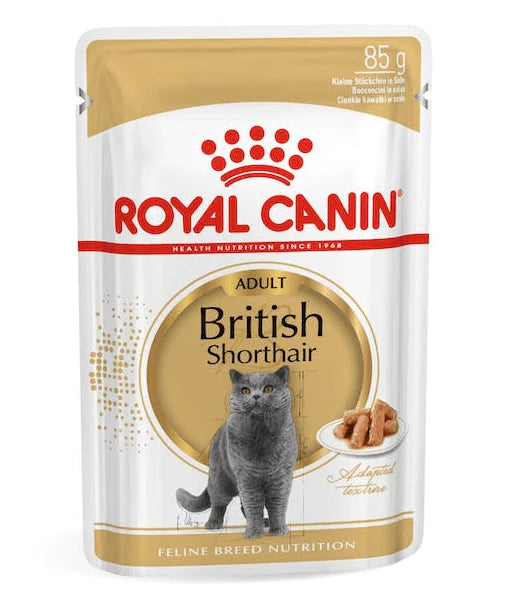 Royal Canin Wet Cat Food – Hairball, Sterilised & Urinary Support - SAFICCO