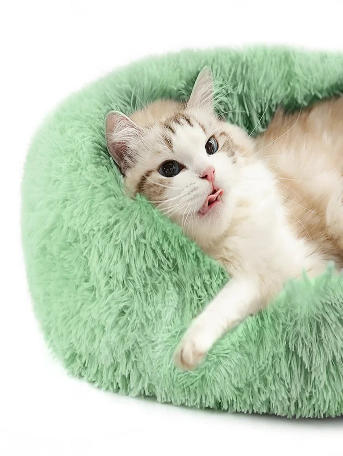 Cat bed - SAFICCO