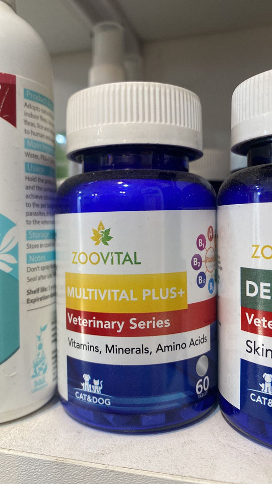 Vitamins For Dogs