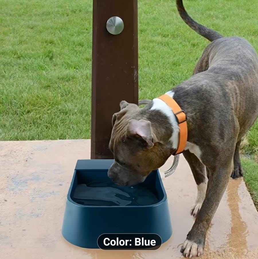 Automatic Water Bowl  For Cats Dogs Birds Goats Chicken - SAFICCO
