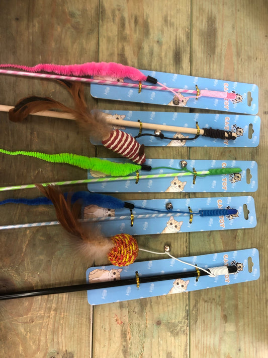 Cat Toys