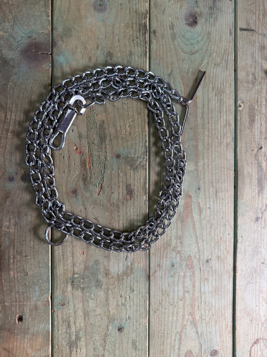 Dog Leash