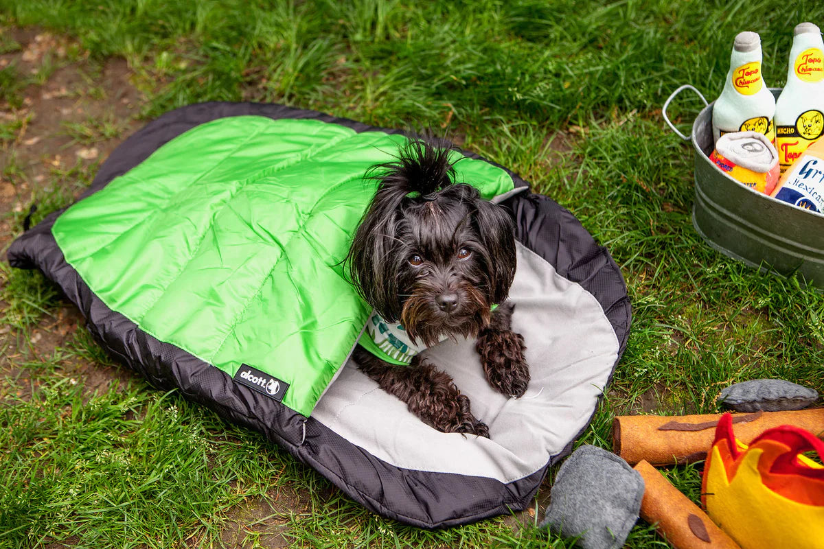 ALCOTT explorer sleeping bag