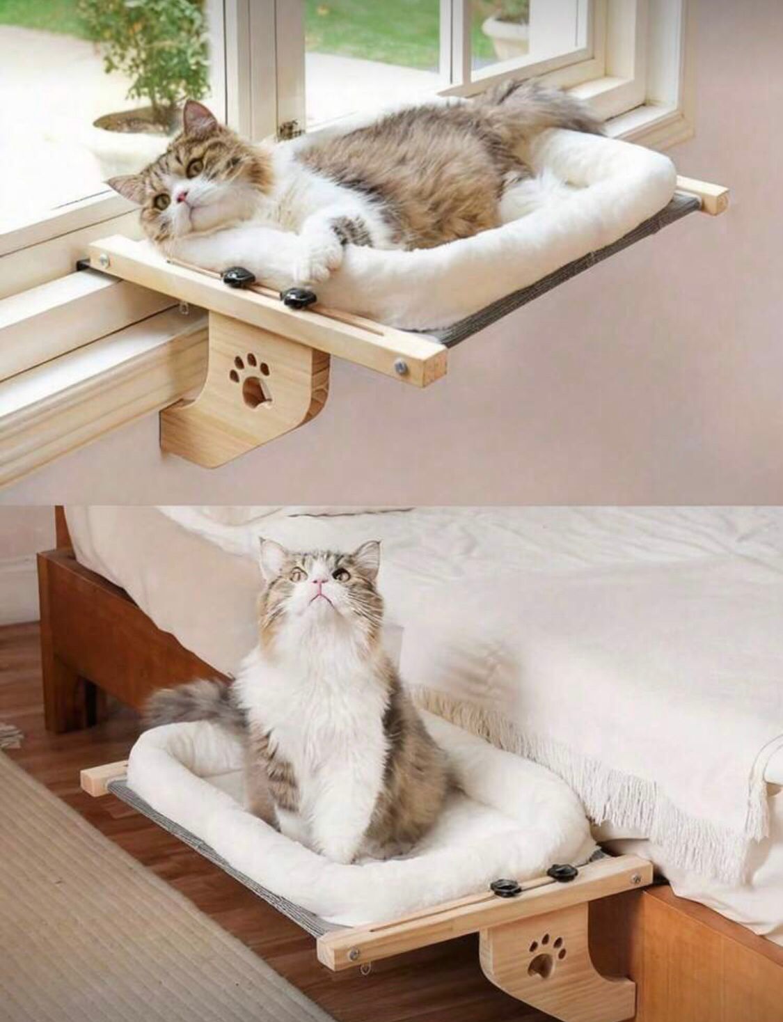Cat Window Bed - SAFICCO