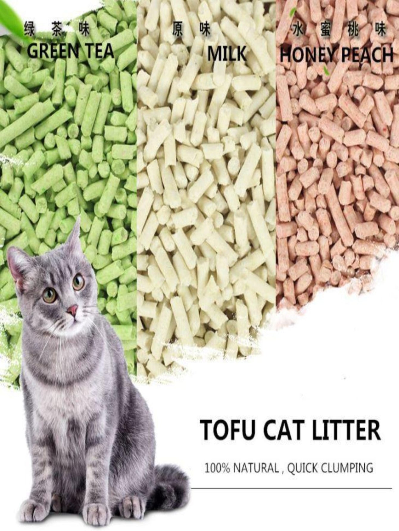 Tofu cat littre - SAFICCO