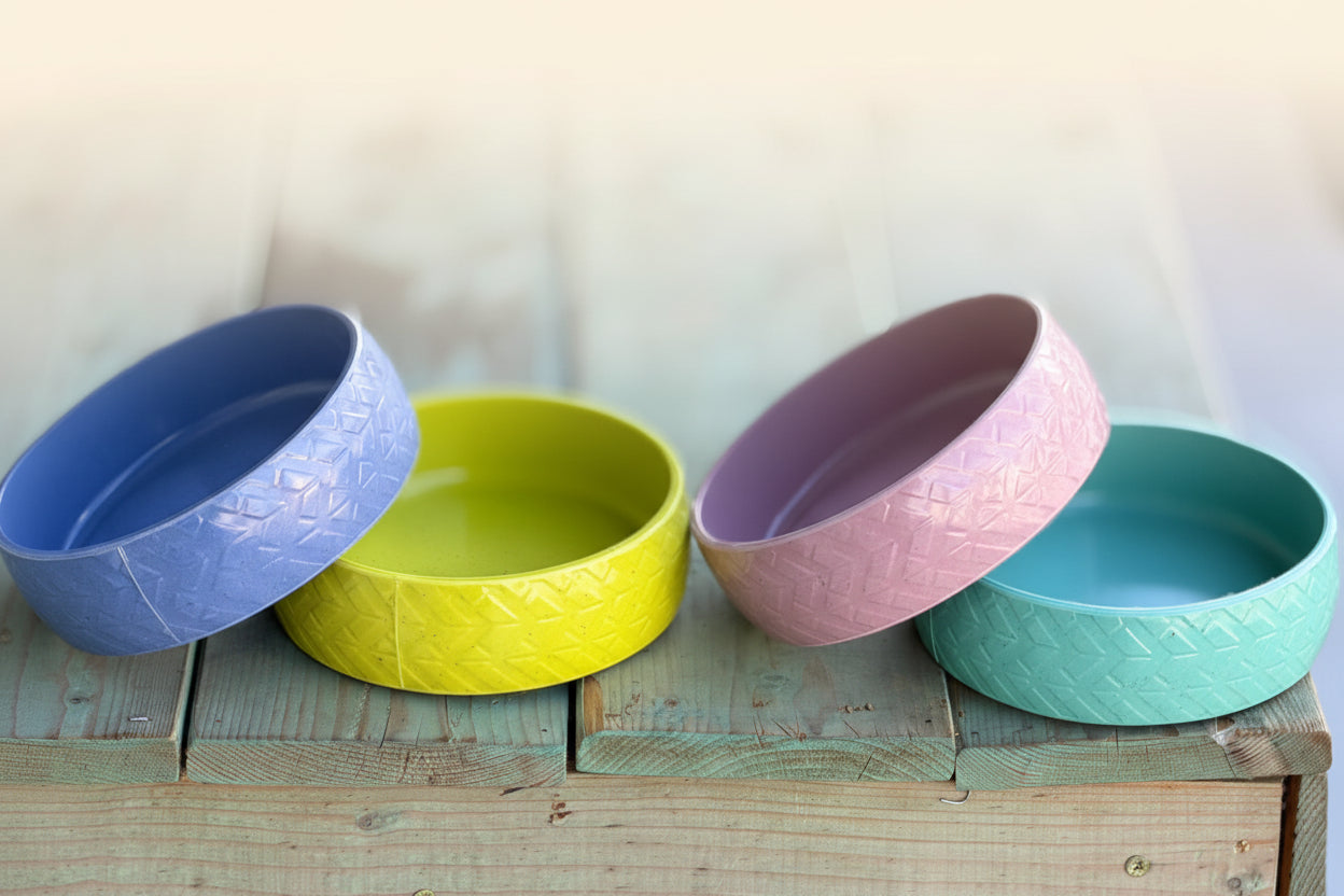 Ceramic Cat food bowl