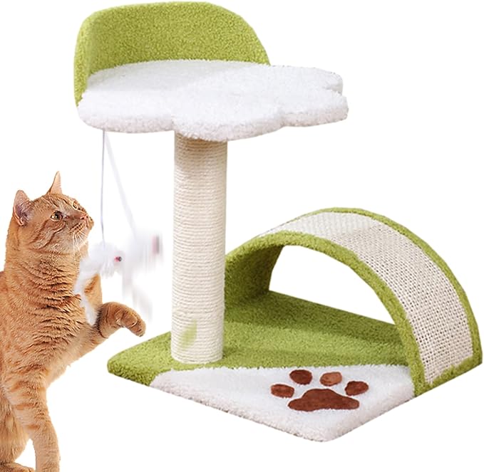Cat scratching bridge - SAFICCO