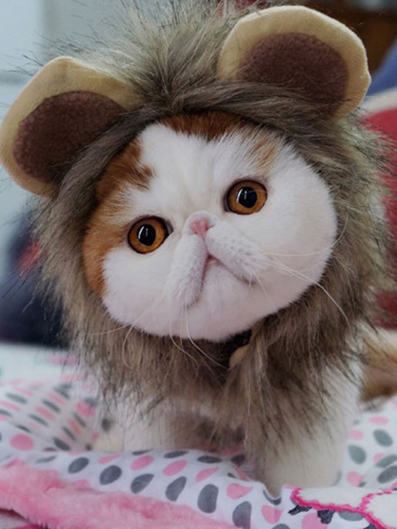 1pc Cosplay Lion Velcro Cat Hat