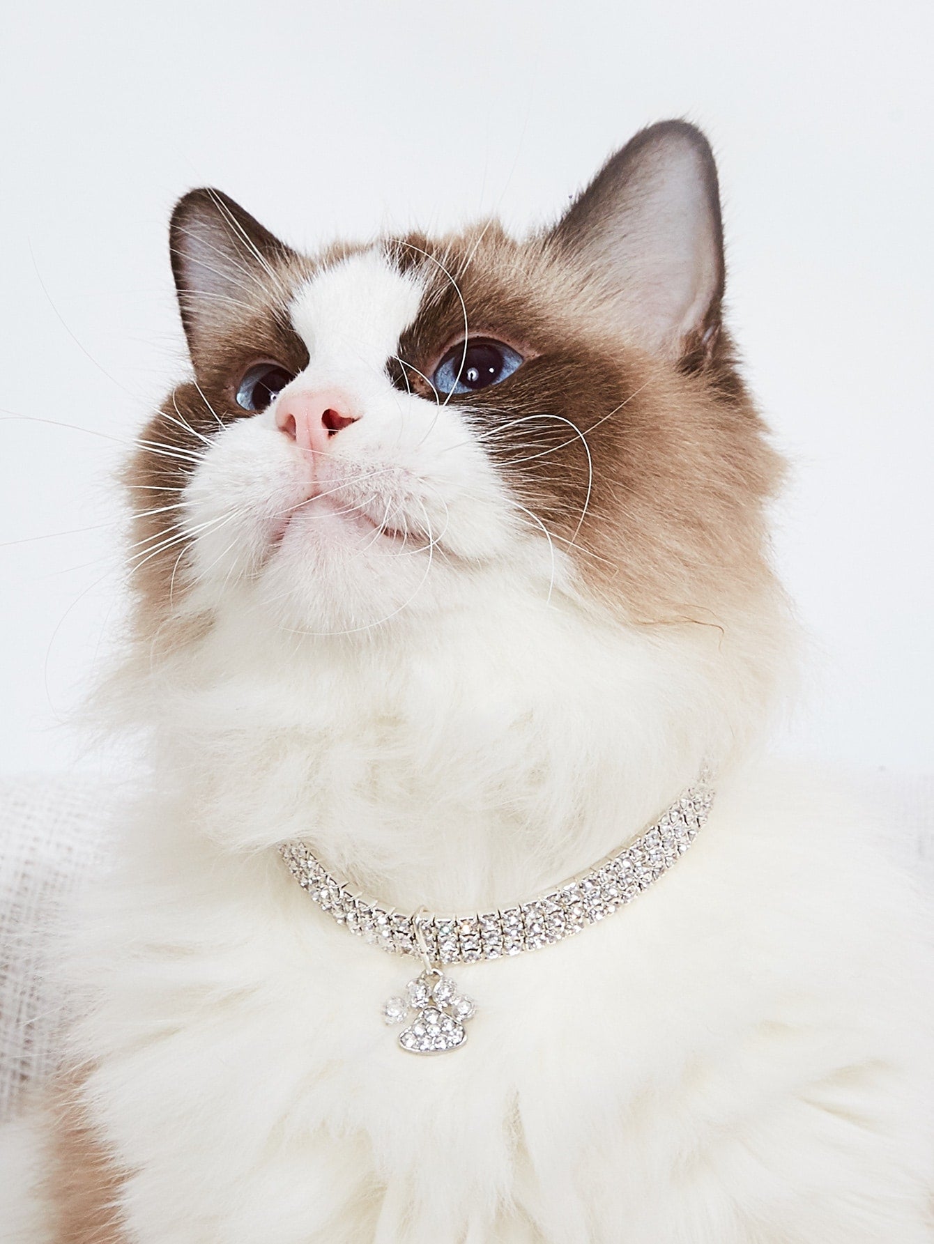 Rhinestone Decor Cat Necklace