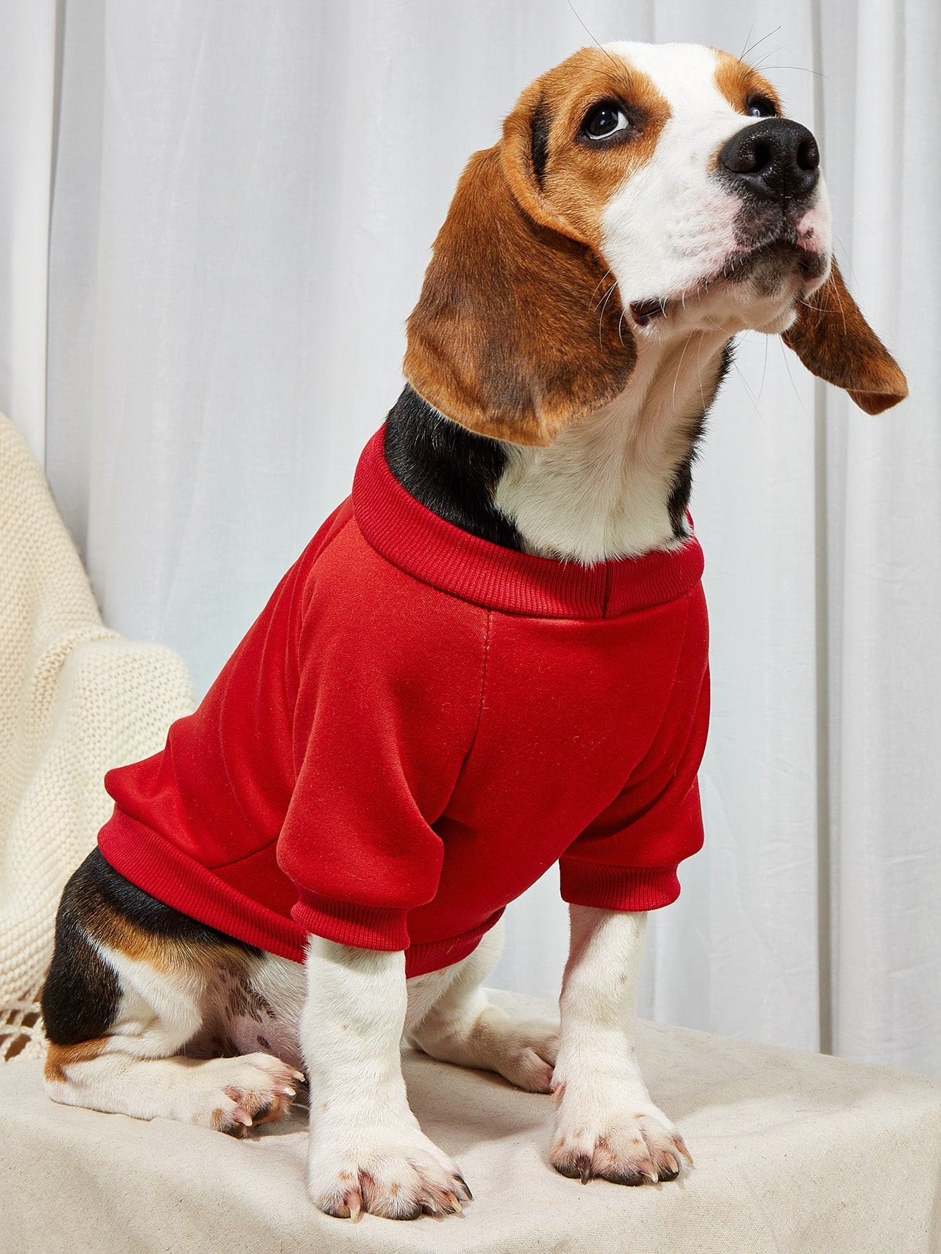 Dog Pattern Pet Sweatshirt