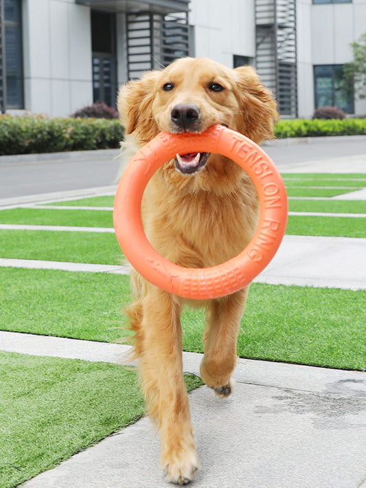 1pc Pet Interactive Tension Training Ring