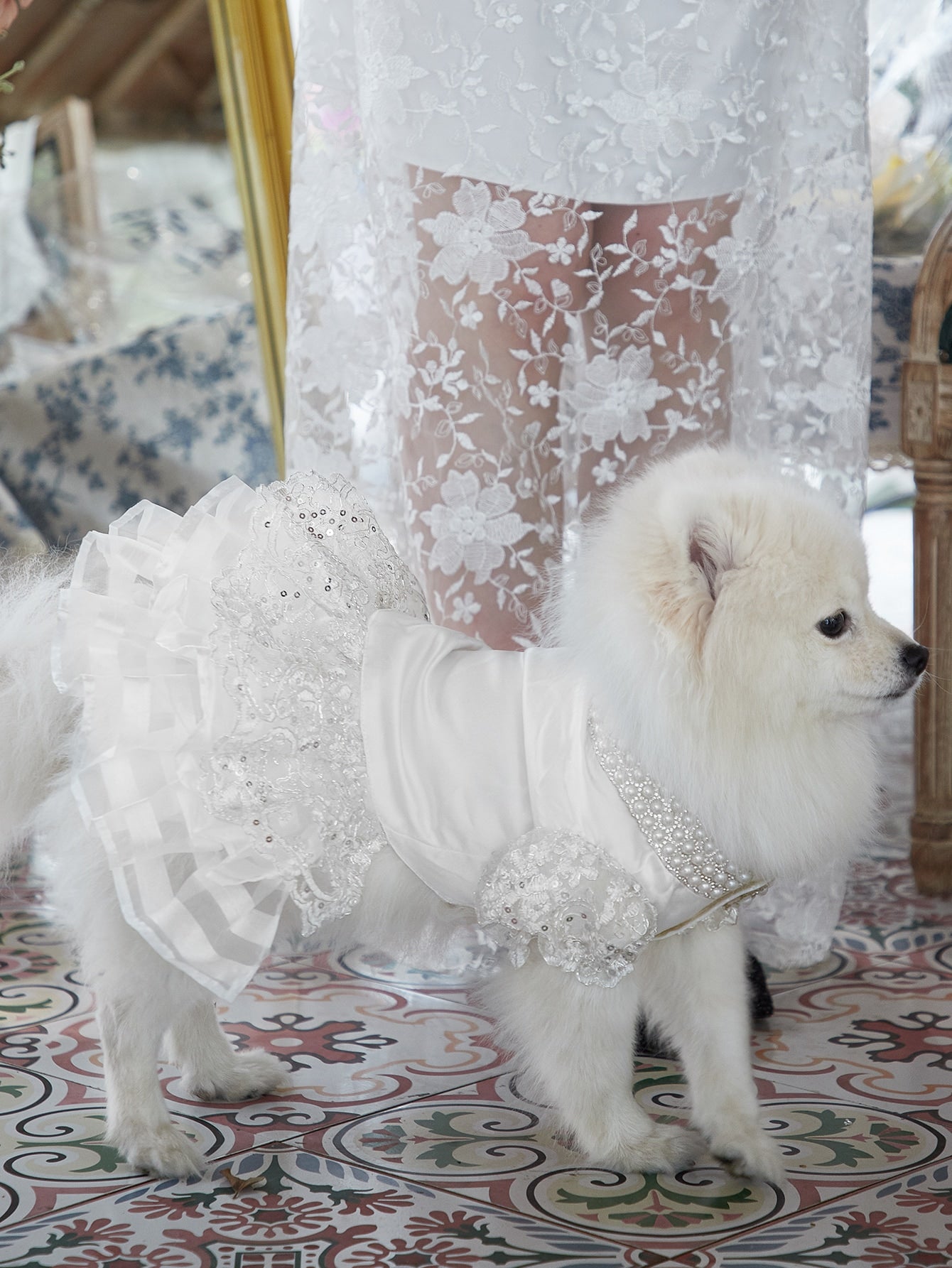 Embroidery Sequin Pet Dress