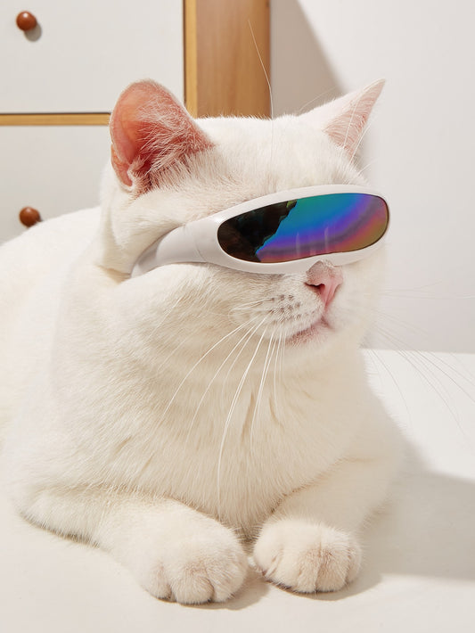 1pc Pet Sunglasses