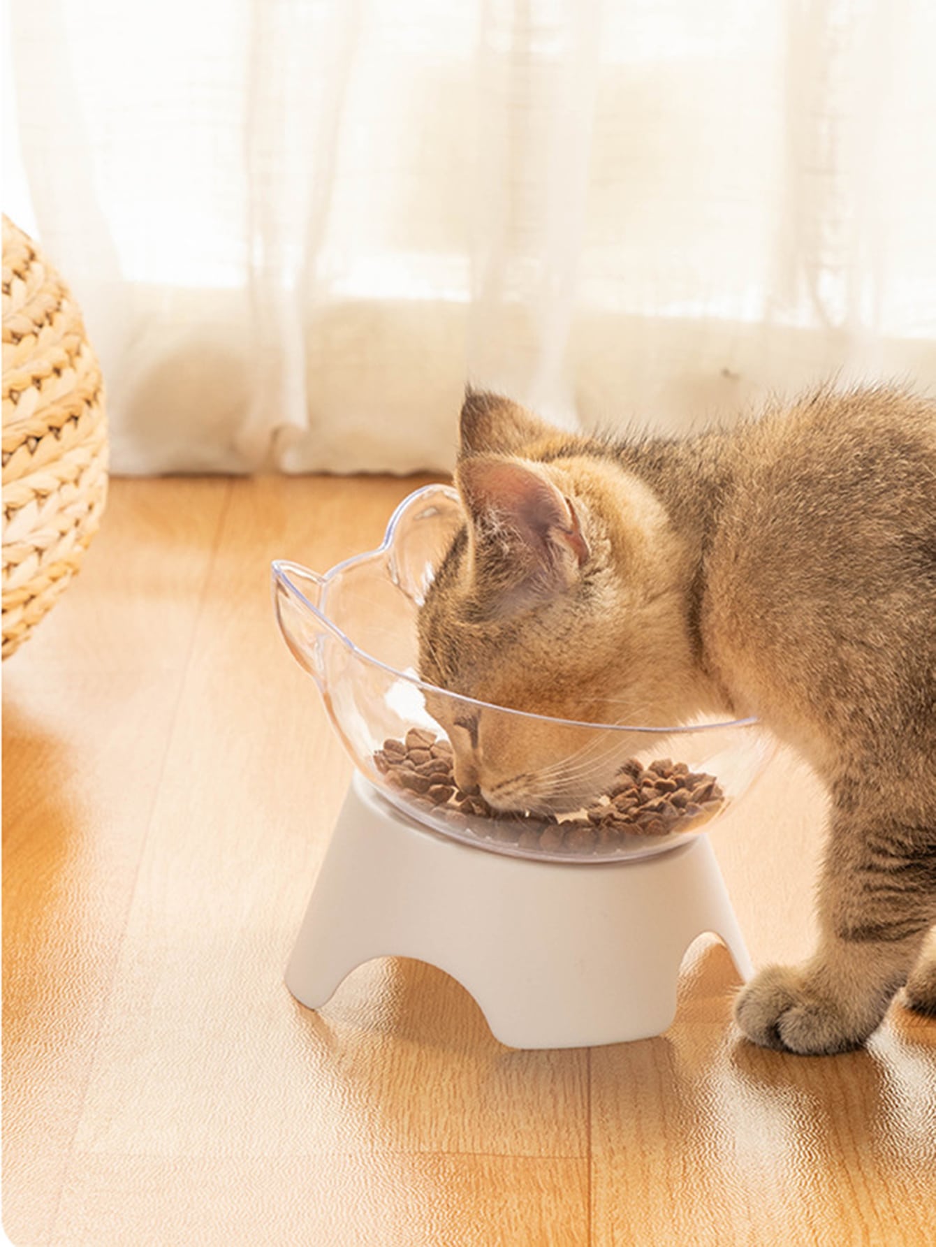 Cat Design Pet Bowl