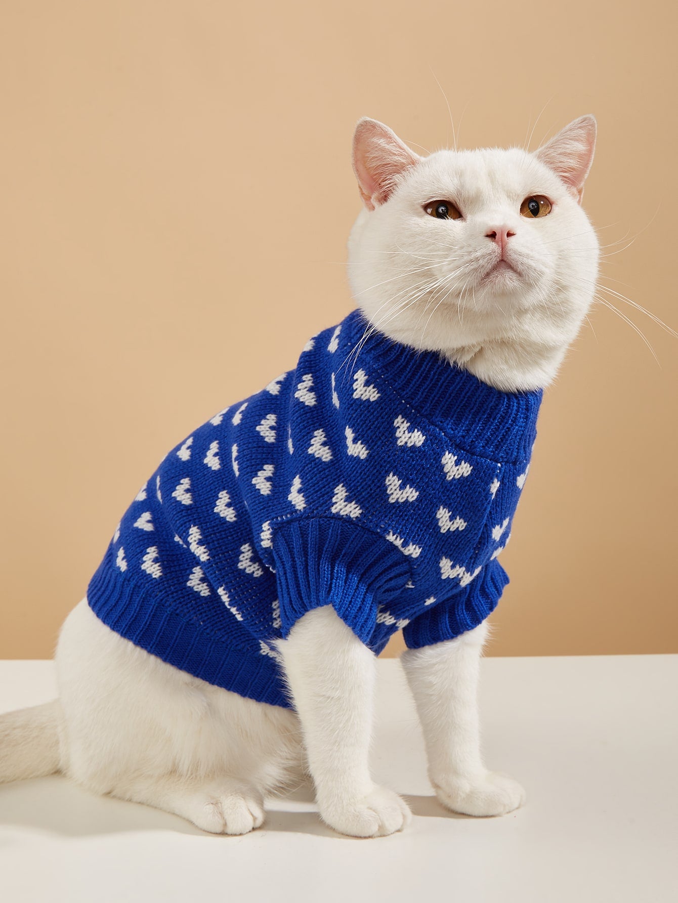 Heart Pattern Pet Sweater